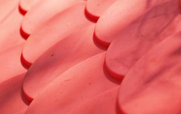 Budleigh plastic roof costs