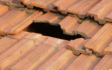 roof repair Budleigh, Somerset